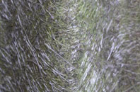 Templemoyle fibreglass roof work